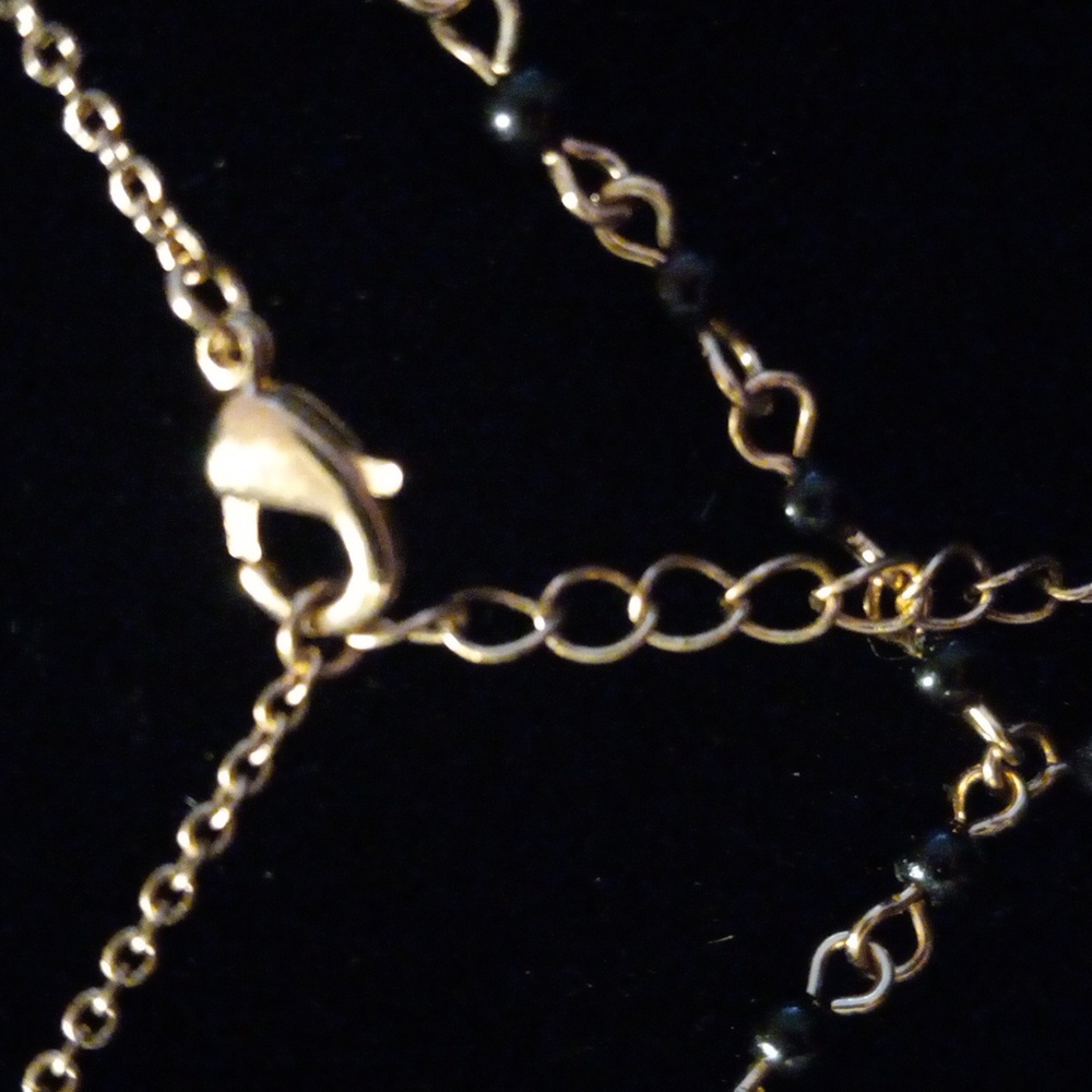 Charlotte Russe tassel necklace - Picture 5 of 5